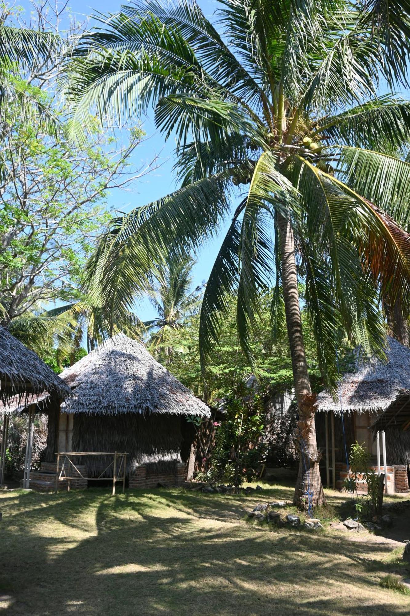 Villa Bunga Jabe à Îles Îles Karimunjawa Extérieur photo