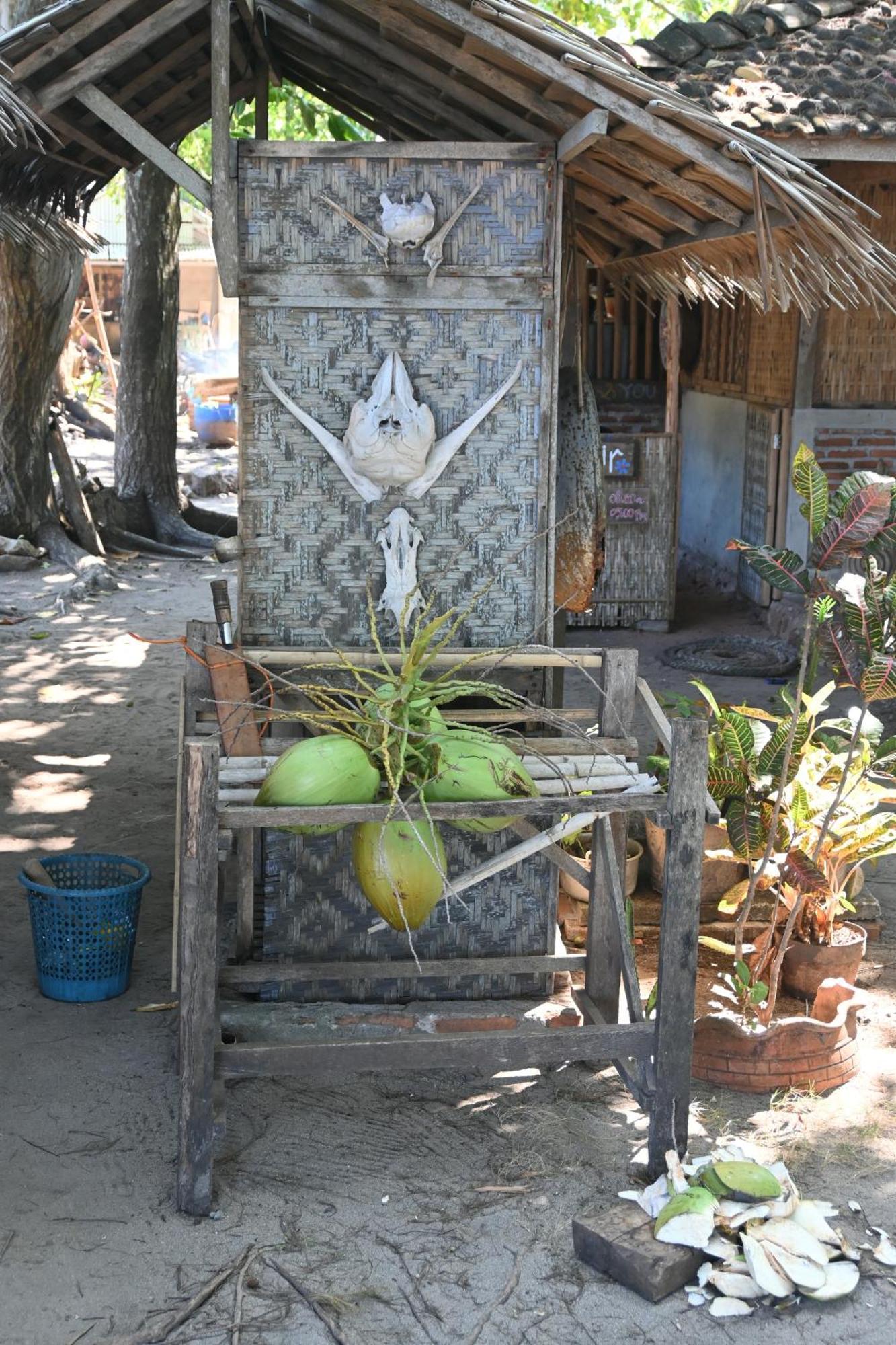 Villa Bunga Jabe à Îles Îles Karimunjawa Extérieur photo